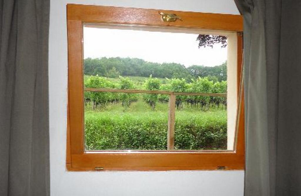 La Petite Madeleine Hotel Castillon-la-Bataille Bilik gambar