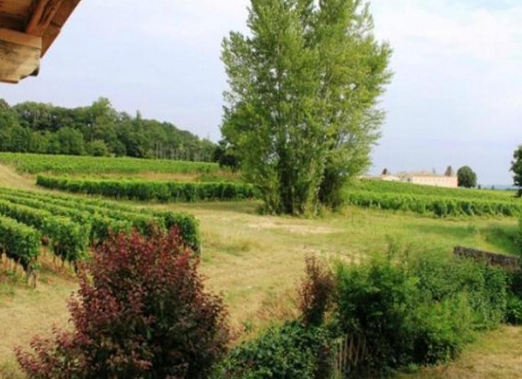La Petite Madeleine Hotel Castillon-la-Bataille Luaran gambar