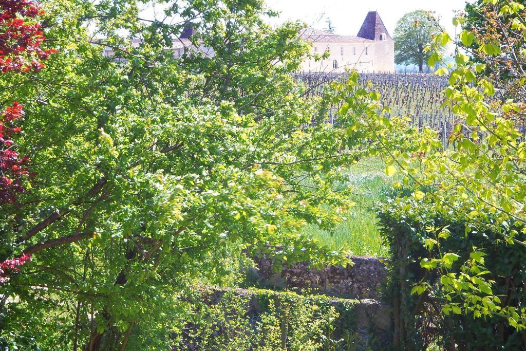 La Petite Madeleine Hotel Castillon-la-Bataille Luaran gambar